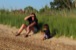 resIMG_20130705_174840_0158.JPG